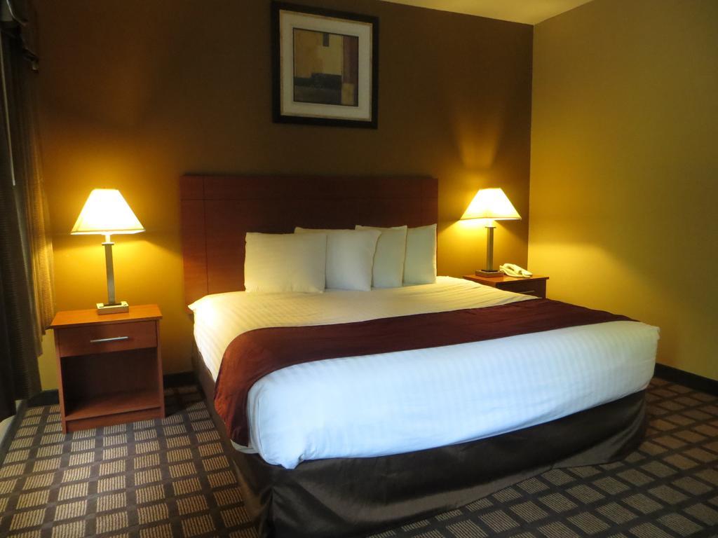 Baymont By Wyndham New Buffalo Rom bilde