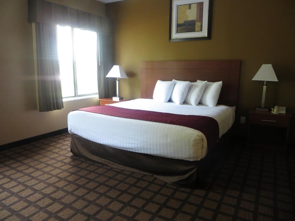 Baymont By Wyndham New Buffalo Rom bilde