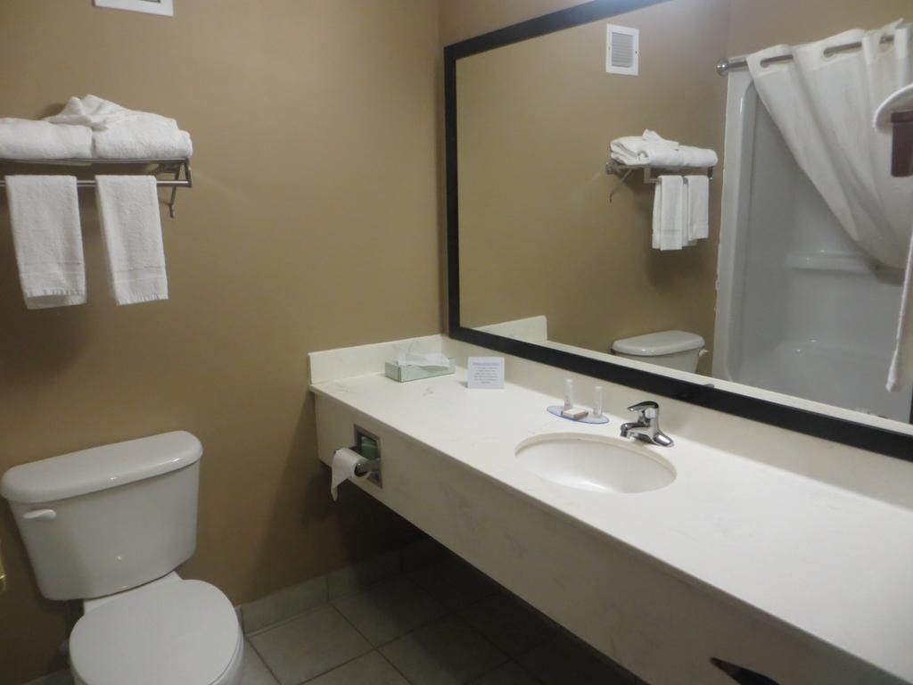 Baymont By Wyndham New Buffalo Rom bilde
