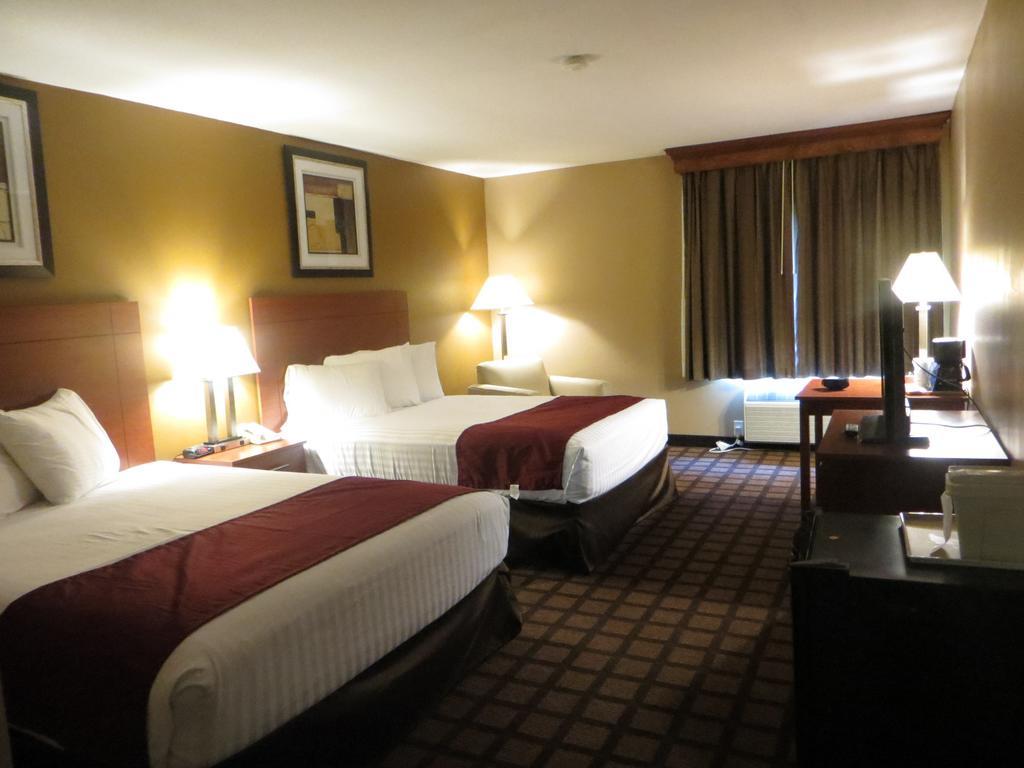 Baymont By Wyndham New Buffalo Rom bilde