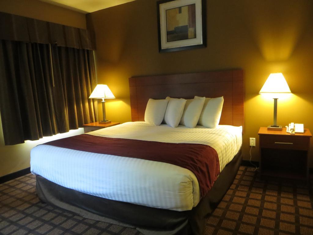 Baymont By Wyndham New Buffalo Rom bilde