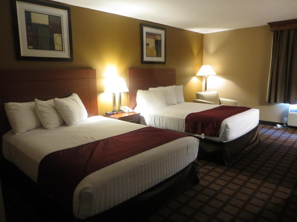 Baymont By Wyndham New Buffalo Rom bilde